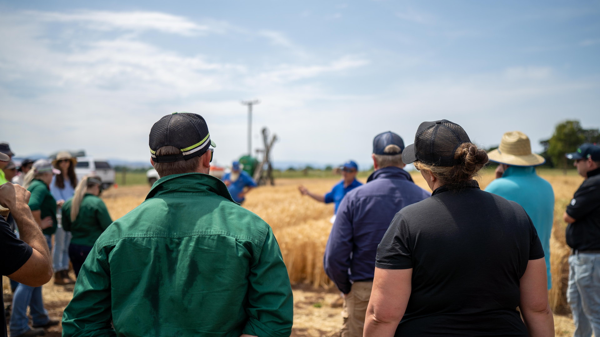 Produtores e agrônomos em dia de campo