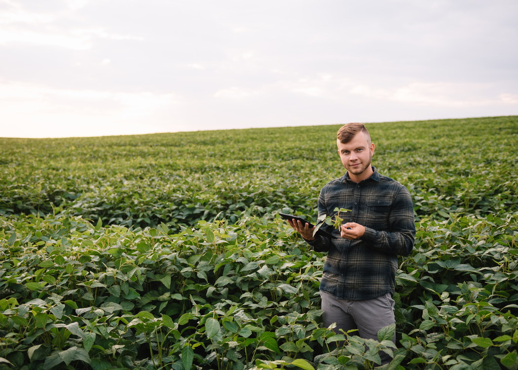 Agrônomo conferindo dados no tablet na lavoura de soja