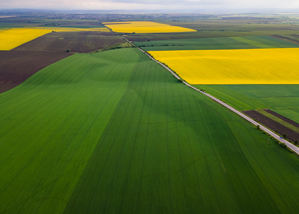 Vista aérea de talhões com culturas distintas