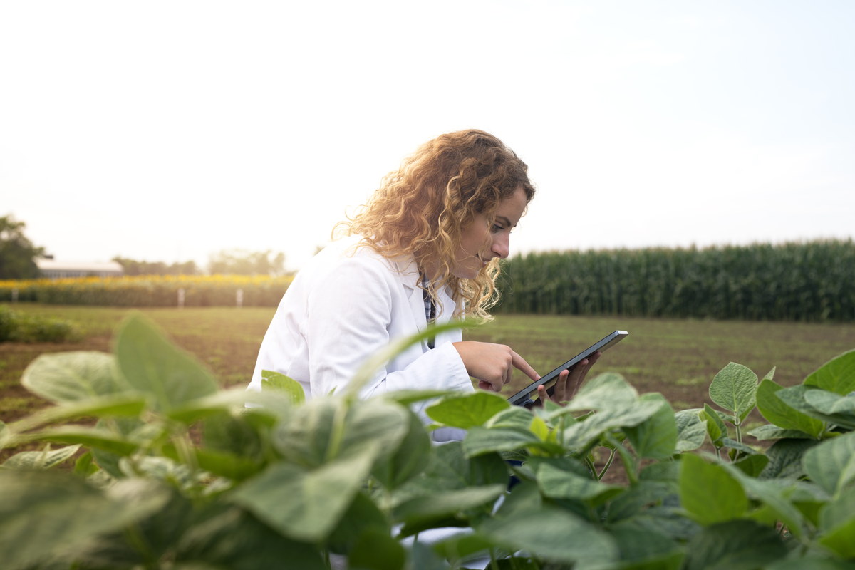 Consultora agronômica avaliando a lavoura com tablet